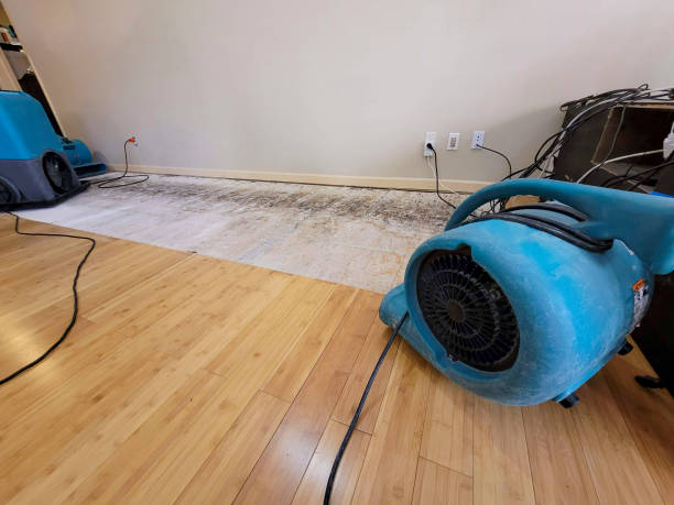 Professional Flood Damage Cleanup technician working in Cibecue, AZ